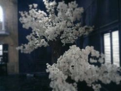 花艺-完美新娘婚纱摄影