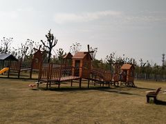 -上海长兴岛郊野公园