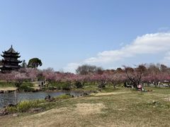 -上海海湾国家森林公园