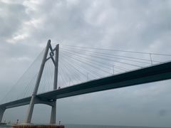 -招商蛇口邮轮母港(观光客运)
