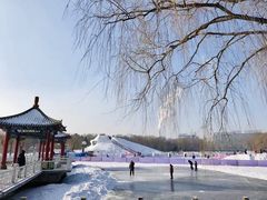 -长春市南湖公园