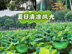 -西湖天地
