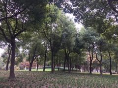 -尚贤河湿地