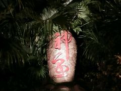 -三亚珠江南田温泉度假区