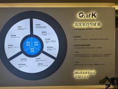 -O2ark智能微高压氧舱(天津旗舰店)