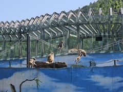-无锡动物园·太湖欢乐园