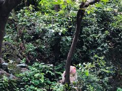 -黔灵山公园