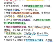 -日照海滨国家森林公园