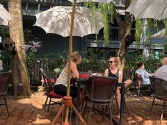 -Fern Forest Cafe