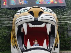 -栾川竹海野生动物园