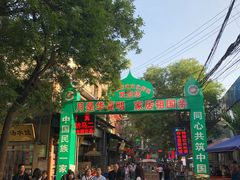 -回坊马二饺子馆