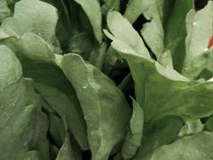 -殷式·私房烧烤·羊蝎子火锅(什刹海店)