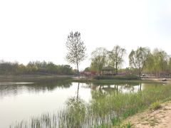 -大兴滨河森林公园