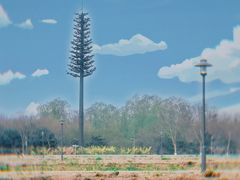 -大兴滨河森林公园