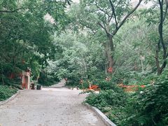 -大芦花风景区
