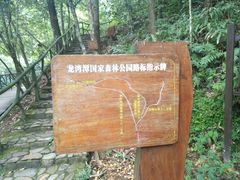 -龙湾潭国家森林公园