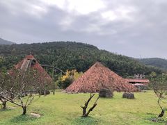 -达蓬山星梦乐园