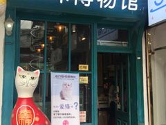 -猫咪博物馆(顶澳仔猫街店)