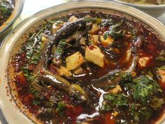 -周鱼鳅饭店
