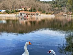 -北岭山森林公园