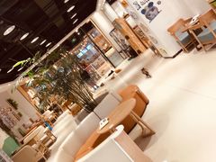 大堂-藏猫猫咖啡主题馆(中央大道店)
