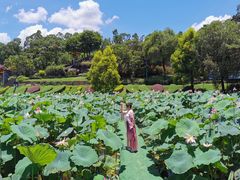 -广州莲花山旅游区