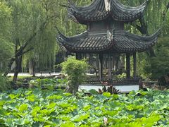 -墅园