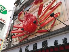 -蟹道乐(道顿堀本店)