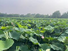 -云龙湖旅游景区