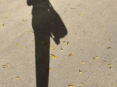 -奥佳游泳培训班(英东游泳馆店)