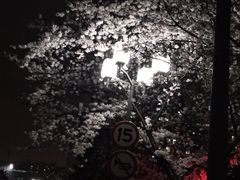-同济大排档