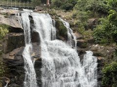 -海南热带雨林国家公园吊罗山景区