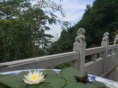 -终南山国家森林公园