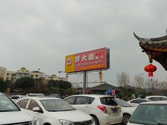 -胖大姐黄辣丁鱼庄(新津店)