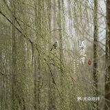 济南三月赏花指南丨五龙潭