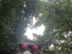 -磁器口古镇