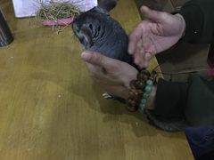 -上海大自然野生昆虫馆