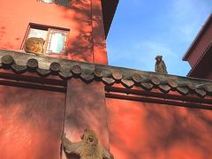 -黔灵山公园