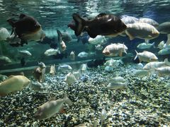 -成都浩海立方海洋公园