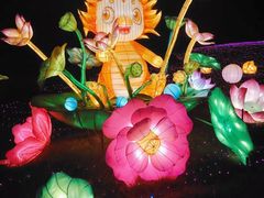 -广西壮族自治区药用植物园