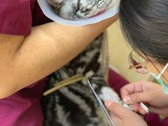 -美联众合动物医院·24h京西诊疗中心