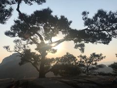 -沂蒙山旅游区云蒙景区(蒙山国家森林公园)