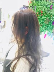 -艺之剪