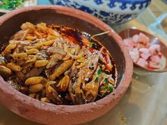 -青城甲(青城山店)