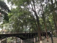 -西南交通大学(峨眉校区)