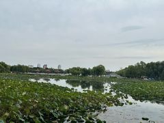 -长春市南湖公园