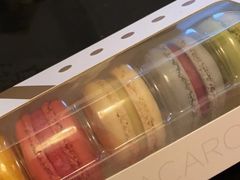-罗森尼娜(德思勤店)