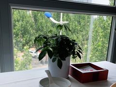 -大鸭梨烤鸭(枣园店)