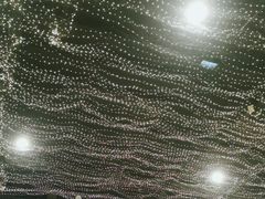 -鲁城往事(游客中心店)