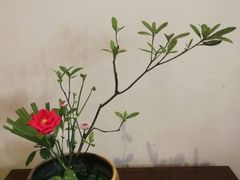 -白鹭原茶艺馆